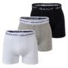 Gant 3Er Pack - Stretc - Culotte - Grau 2 Gant 3Er Pack - Stretc - Culotte - Grau -Boss Ventas 0a49caddcdba47a78de0ccabff3495fc
