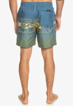 Quiksilver Everyday Wordblock Volley 17 - Bañador - Bering Sea 10 Quiksilver Everyday Wordblock Volley 17 - Bañador - Bering Sea -Boss Ventas 18a42512edd547b8bf93f959fad1041c