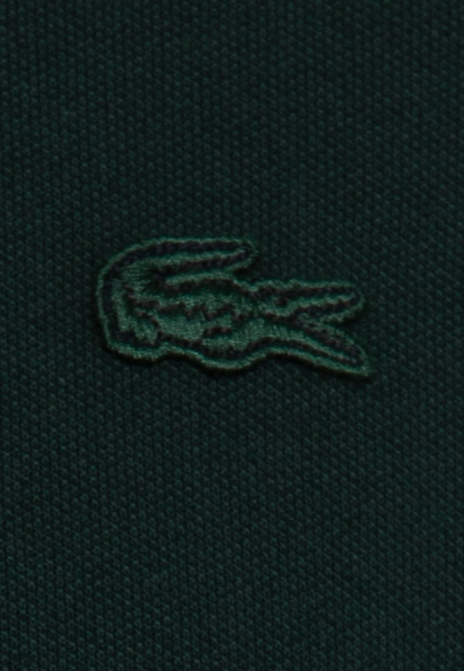 Lacoste Polo - Sinople 5 Lacoste Polo - Sinople - Imagen 3