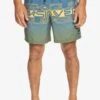 Quiksilver Everyday Wordblock Volley 17 - Bañador - Bering Sea 2 Quiksilver Everyday Wordblock Volley 17 - Bañador - Bering Sea -Boss Ventas bab3775f82db48cfa5820115db2c9463